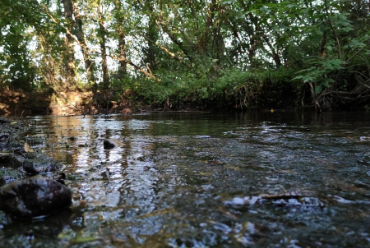 Foto del territorio di Pescincanna