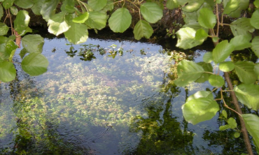 Foto del territorio di Pescincanna