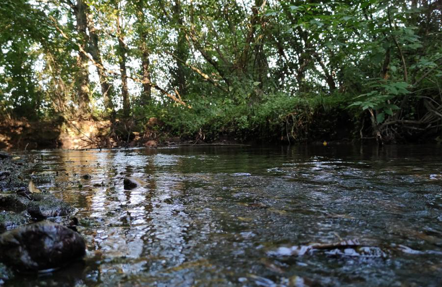 Foto Territorio - Fiume Fiume e il Sile
